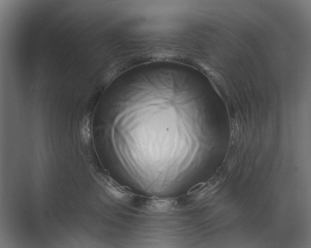 X0000073700479200608241422