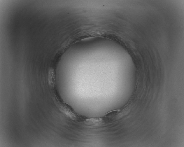 X0000073700480200608241422