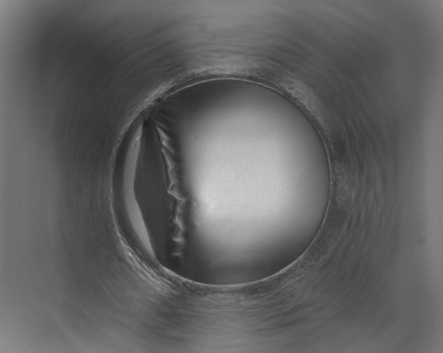 X0000073700482200608241421