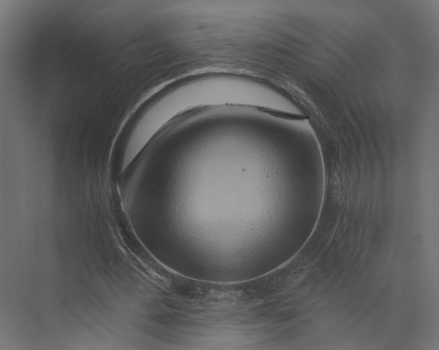 X0000073700484200608241421