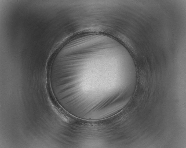 X0000073700486200608241421