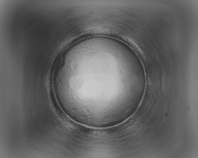 X0000073700487200608241421