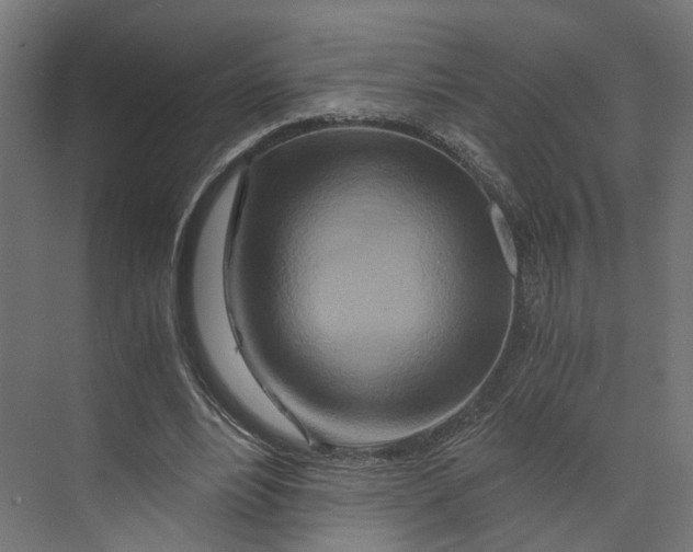 X0000073700488200608241421