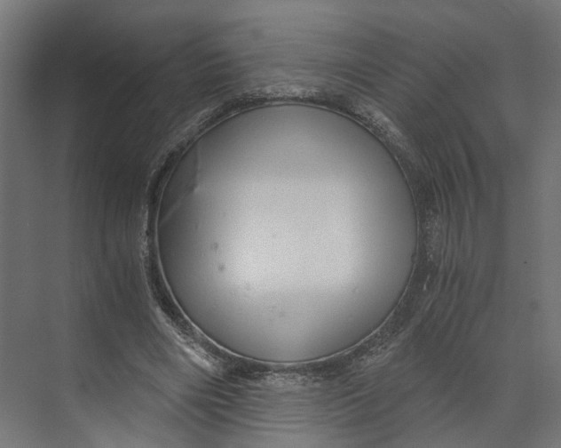 X0000073700490200608241421