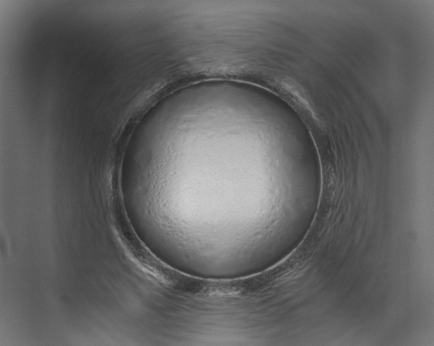 X0000073700491200608241421