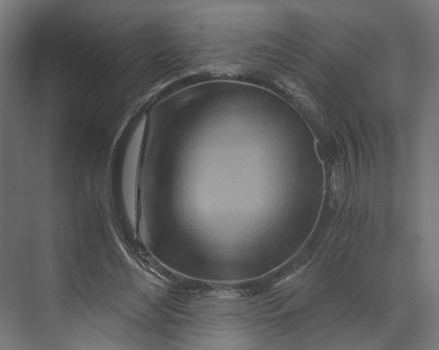 X0000073700492200608241421