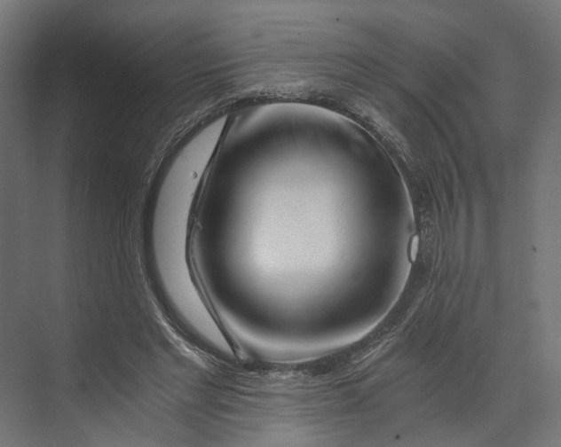 X0000073700493200608241421