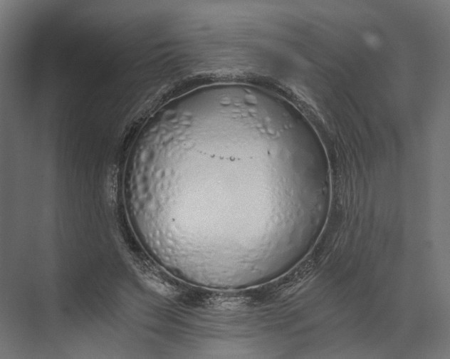 X0000073700495200608241421