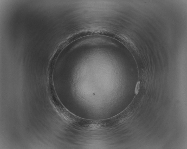 X0000073700496200608241421