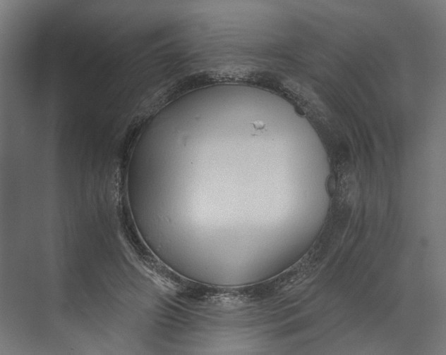 X0000073700498200608241421