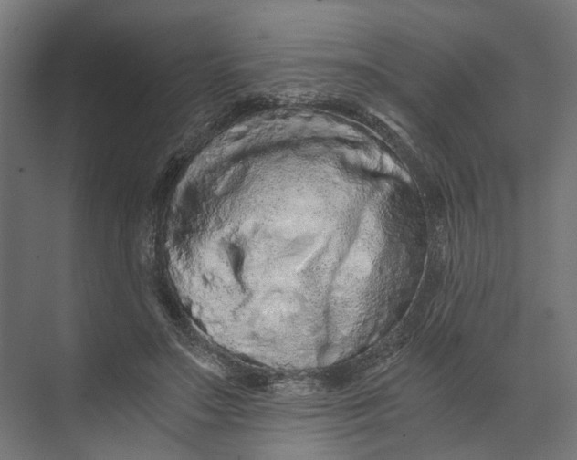 X0000073700499200608241421