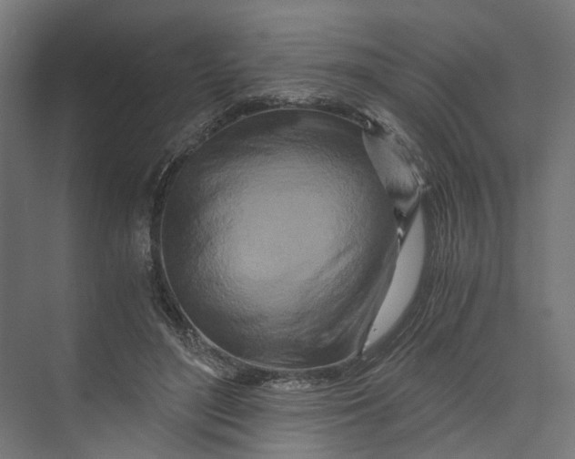 X0000073700500200608241421