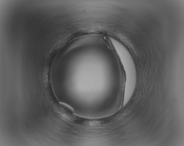 X0000073700501200608241421