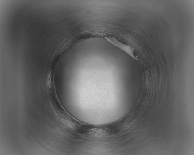 X0000073700502200608241421