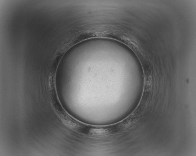 X0000073700503200608241421