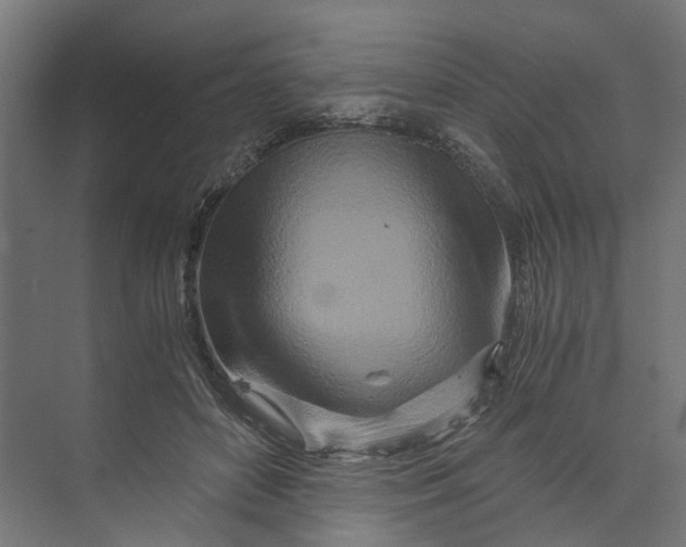 X0000073700504200608241421