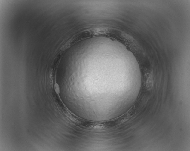 X0000073700506200608241421