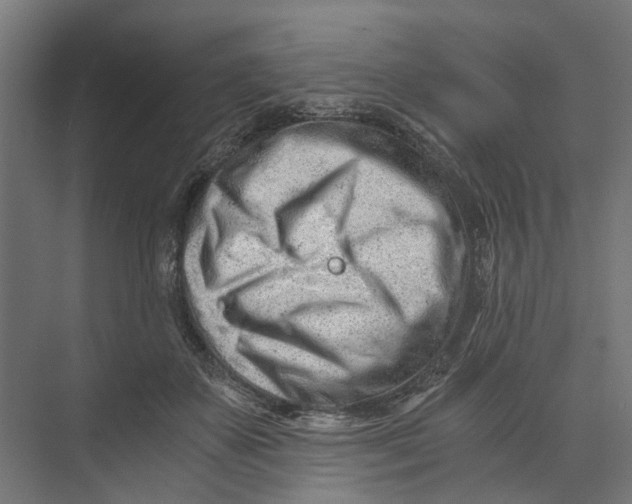 X0000073700507200608241421