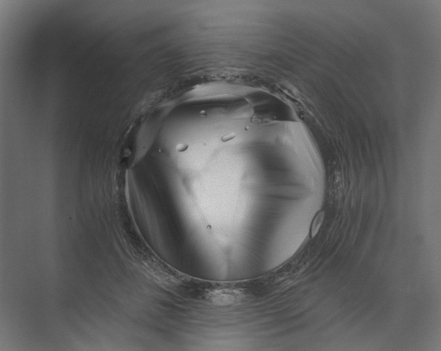 X0000073700508200608241421