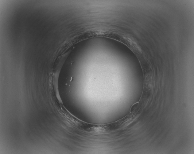 X0000073700509200608241420