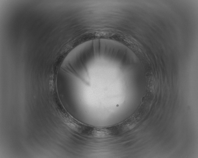 X0000073700510200608241420