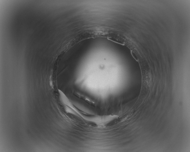 X0000073700512200608241420