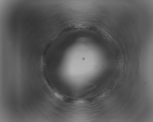 X0000073700513200608241420