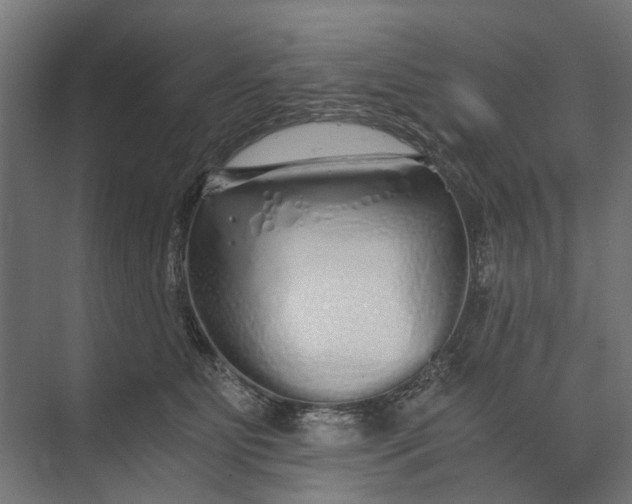 X0000073700515200608241420