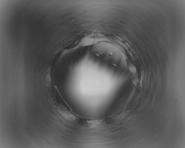 X0000073700516200608241420