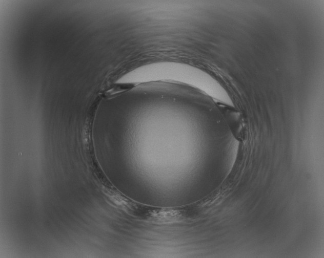 X0000073700517200608241420