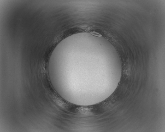 X0000073700518200608241420