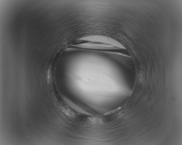 X0000073700520200608241420