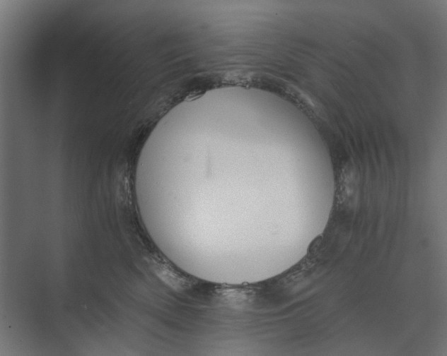 X0000073700522200608241420