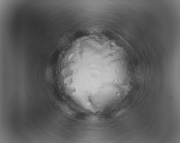 X0000073700523200608241420