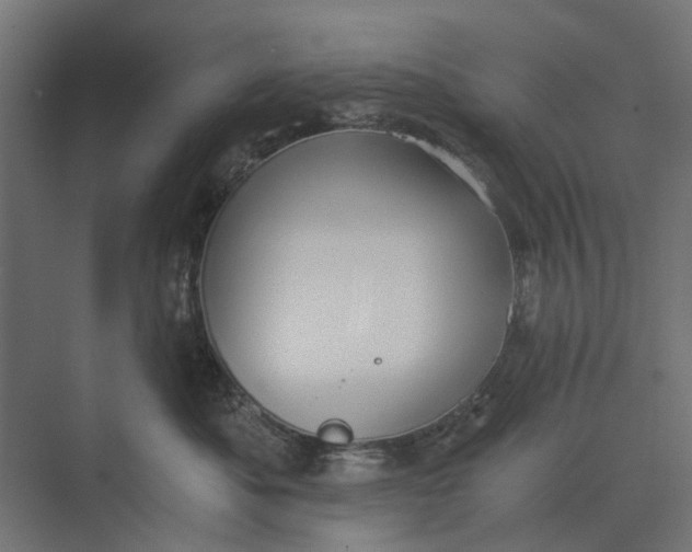 X0000073700525200608241420