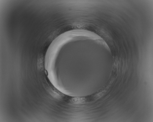 X0000073700526200608241420