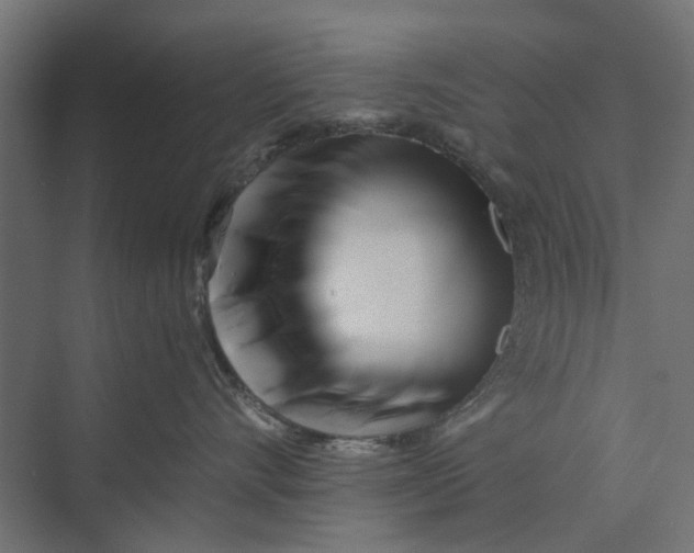 X0000073700528200608241420