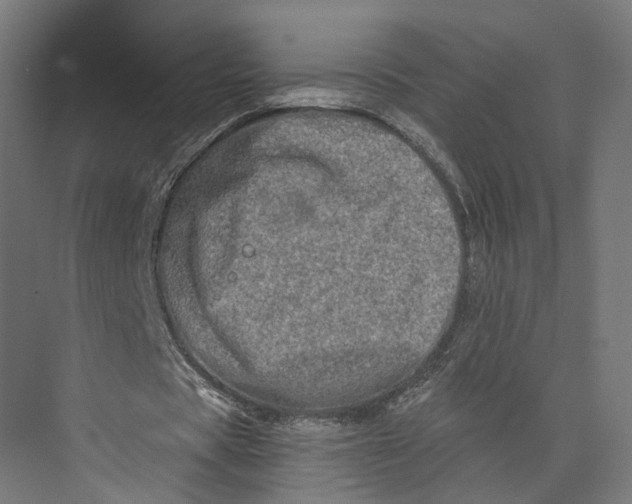 X0000073700529200608241419