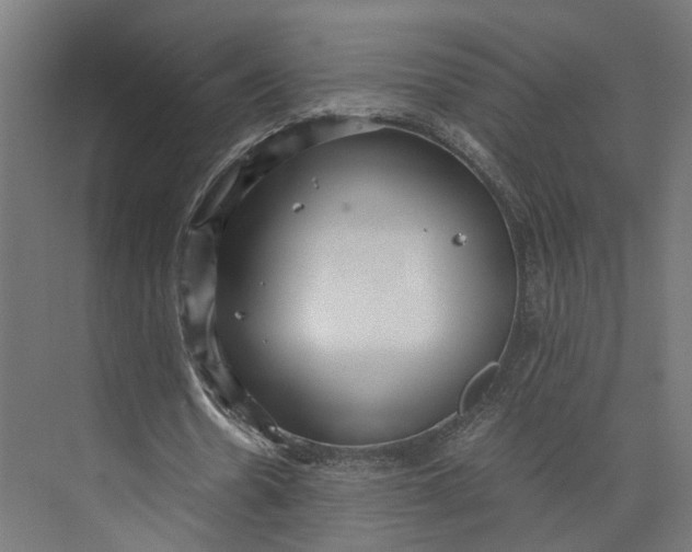 X0000073700530200608241419