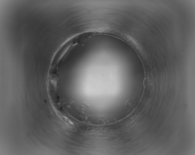 X0000073700532200608241419