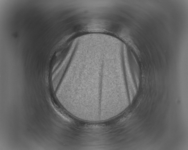 X0000073700533200608241419