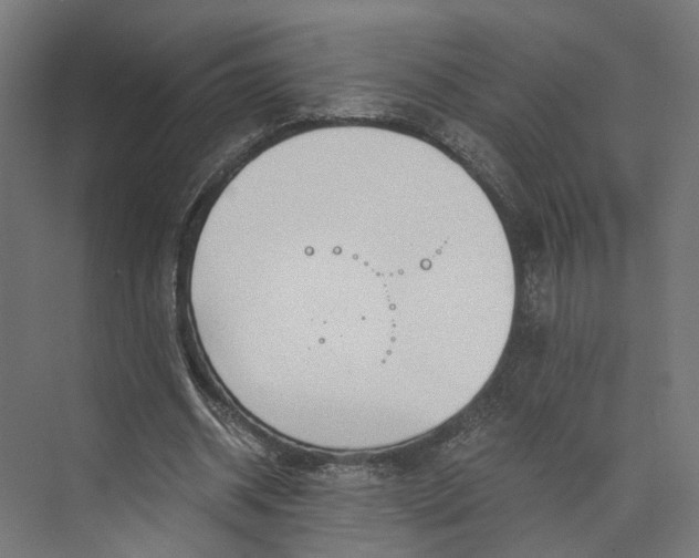 X0000073700534200608241419