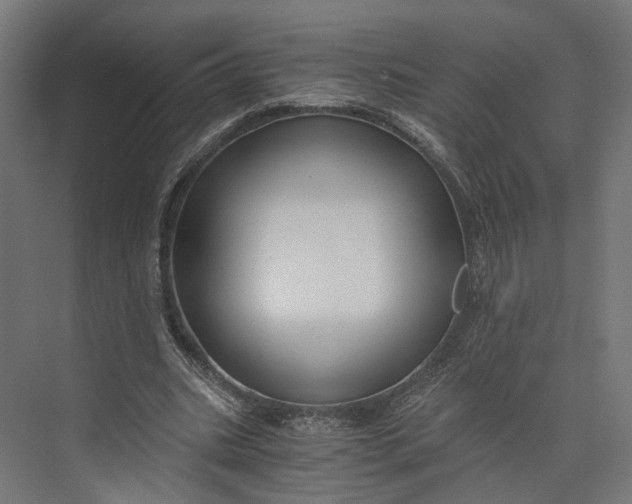 X0000073700535200608241419