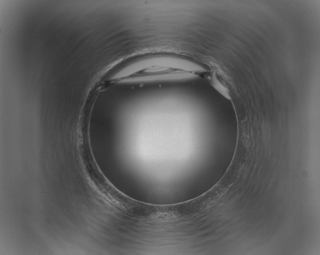 X0000073700536200608241419