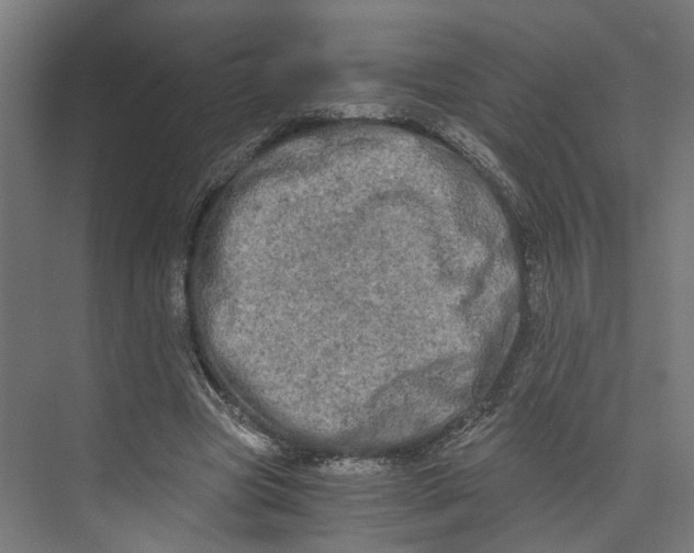 X0000073700537200608241419