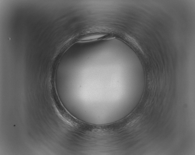 X0000073700538200608241420