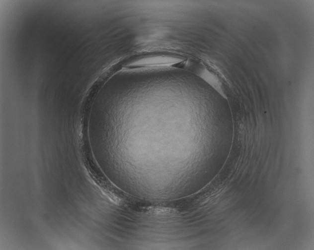 X0000073700539200608241420