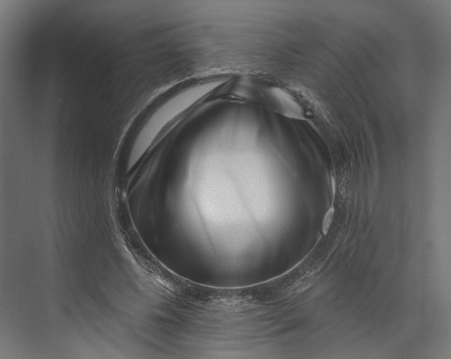 X0000073700540200608241420