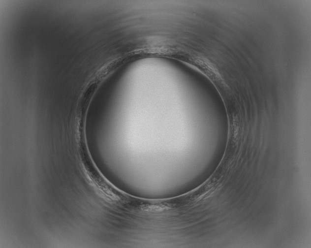 X0000073700542200608241420