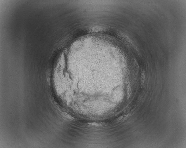 X0000073700545200608241420